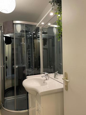 Appartement Cosy Hyper Centre Châteauroux 外观 照片