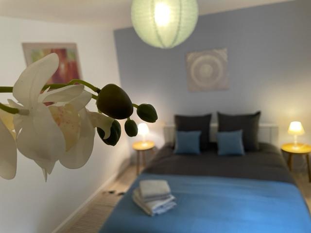 Appartement Cosy Hyper Centre Châteauroux 外观 照片